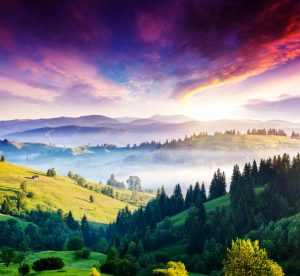 Environment & Sustainability