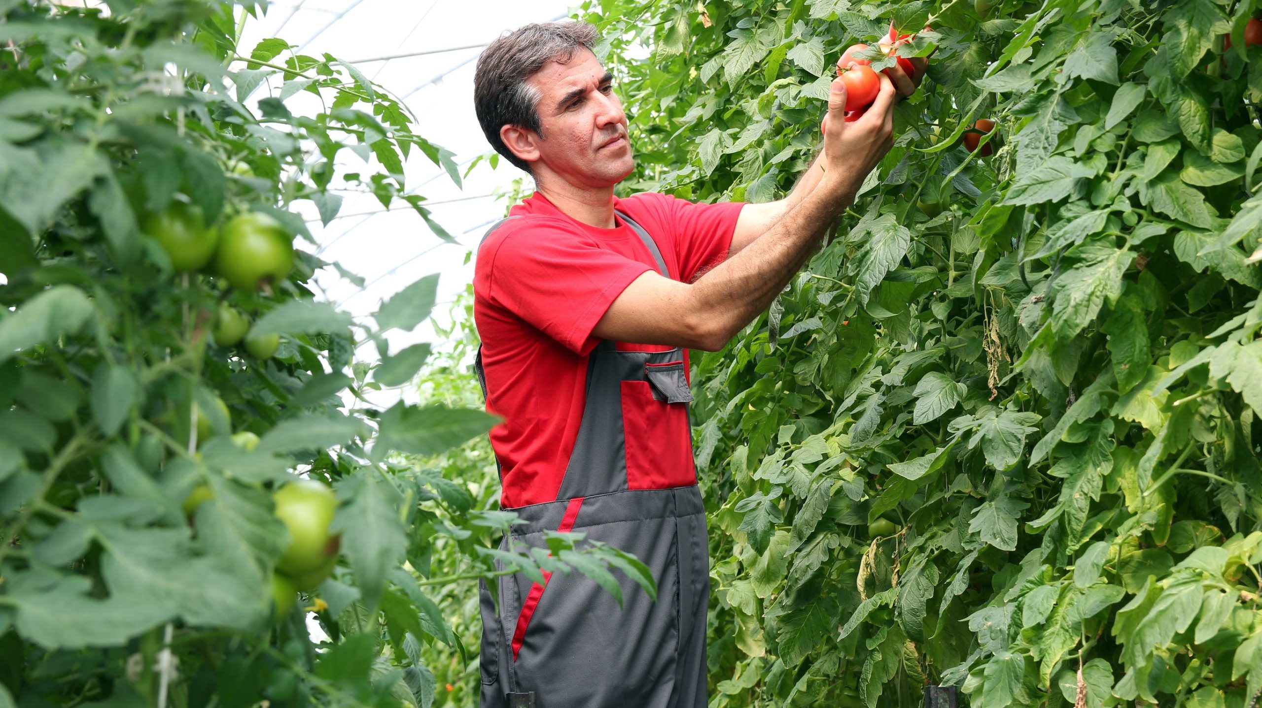 The Biggest Raised Bed Gardening Mistakes to Avoid